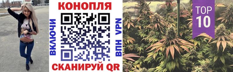 Все наркотики Наволоки Амфетамин  Галлюциногенные грибы  ГАШИШ  МЕФ  Каннабис  COCAIN 