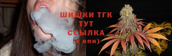 индика Бугульма