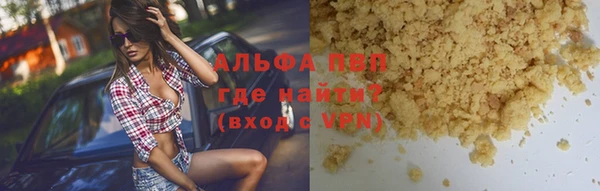 индика Бугульма