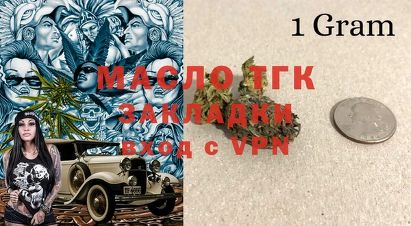 индика Бугульма