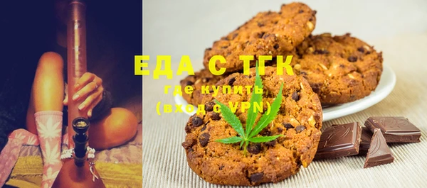 индика Бугульма