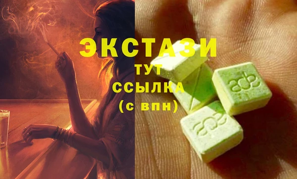 индика Бугульма
