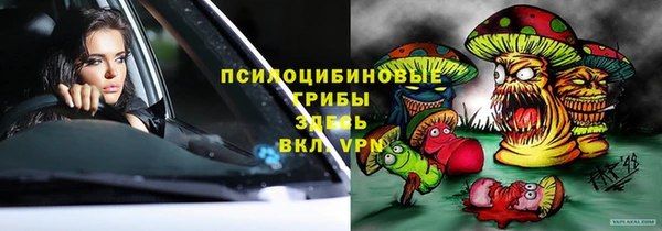 индика Бугульма