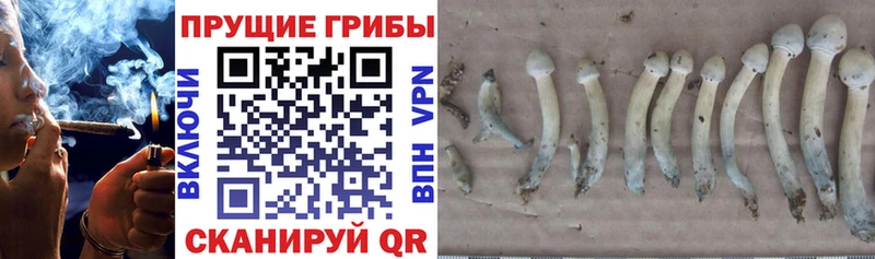 Галлюциногенные грибы мухоморы  Наволоки 